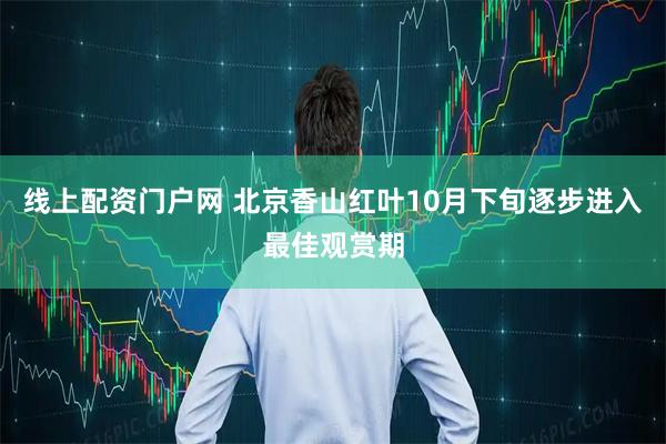 线上配资门户网 北京香山红叶10月下旬逐步进入最佳观赏期